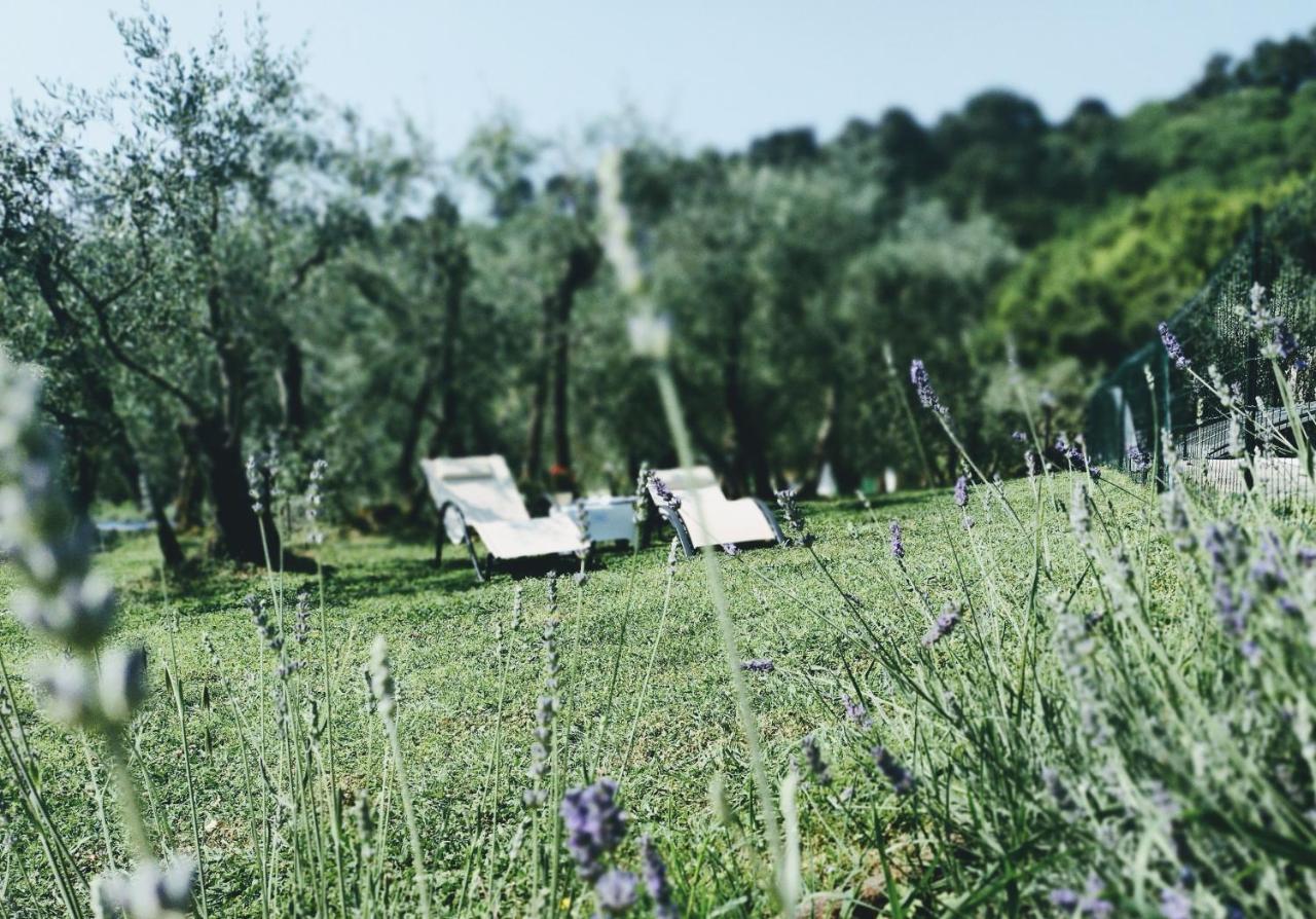 Bed and Breakfast Al Gattosaggio Montecarlo Exteriér fotografie