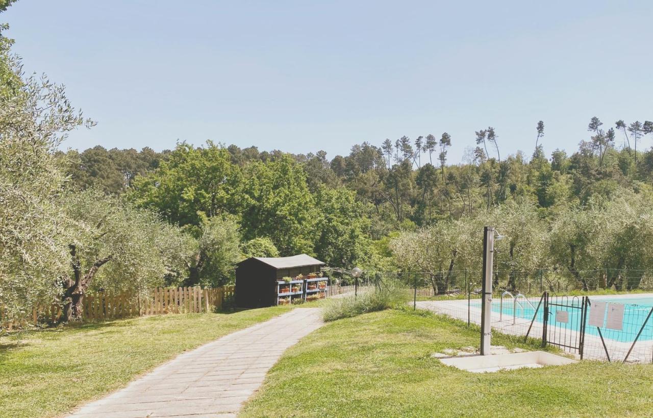 Bed and Breakfast Al Gattosaggio Montecarlo Exteriér fotografie