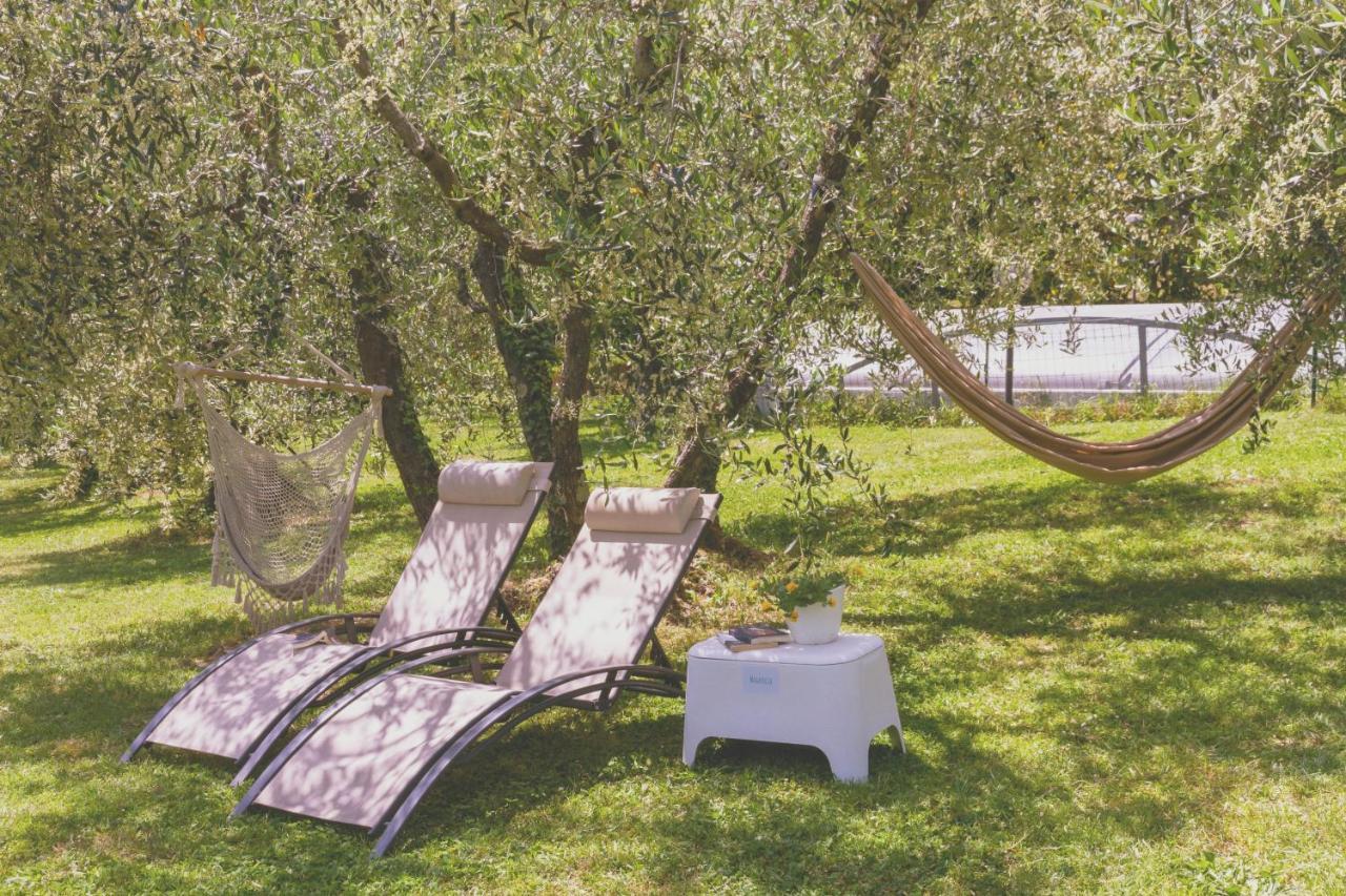 Bed and Breakfast Al Gattosaggio Montecarlo Exteriér fotografie
